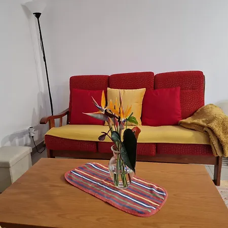 Zef's * Senhora do Rosário